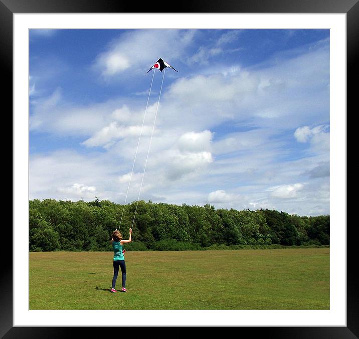 Lets go fly a kite!!!!!!!!! Framed Mounted Print by Donna Collett
