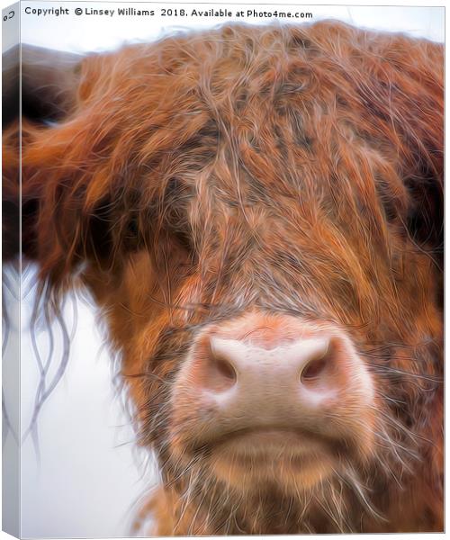 Bad Hair Day Coo Canvas Print by Linsey Williams