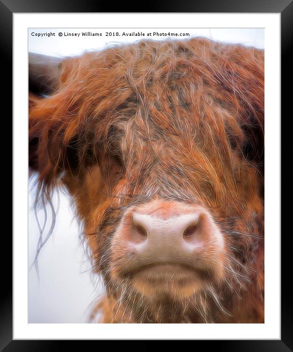 Bad Hair Day Coo Framed Mounted Print by Linsey Williams