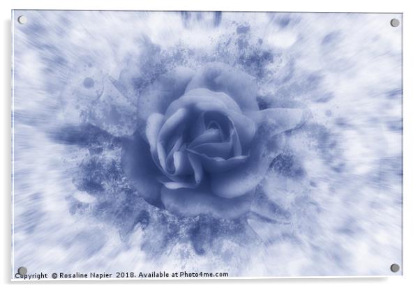 Single blue rose Acrylic by Rosaline Napier