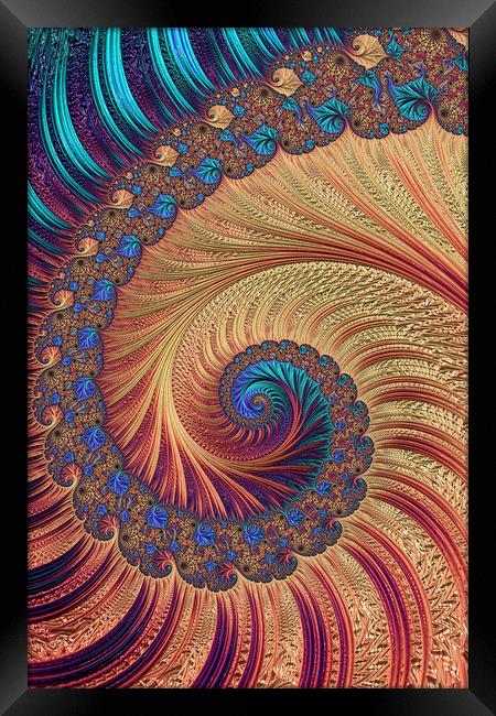 Spiral Staircase Framed Print by Steve Purnell