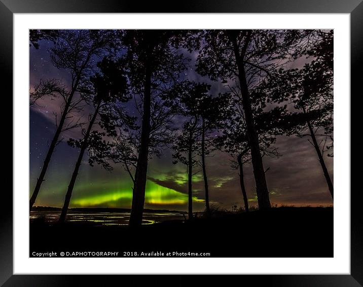 Tree Aurora Framed Mounted Print by D.APHOTOGRAPHY 
