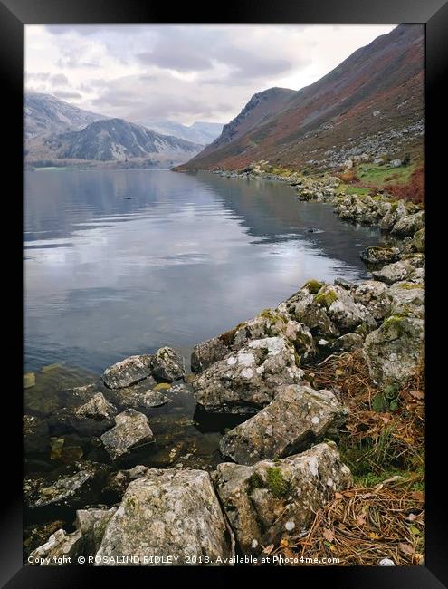 "Morning at Ennerdale Water" Framed Print by ROS RIDLEY