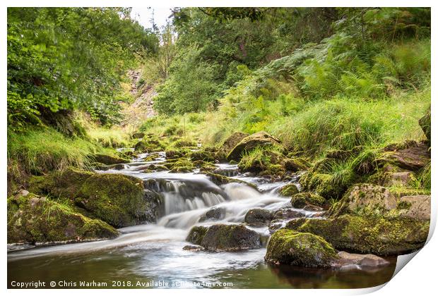 River Goyt in the Goyt Valley, Derbyshire Print by Chris Warham