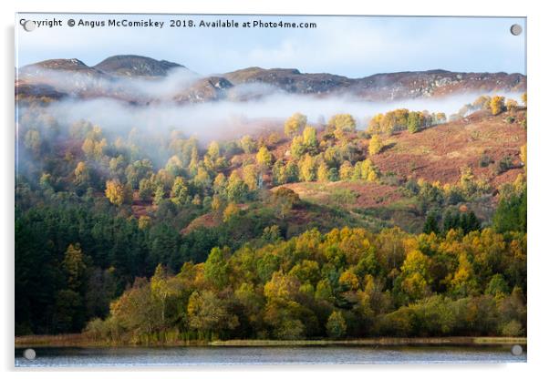 Mist shrouded autumn colours on Loch Faskally Acrylic by Angus McComiskey