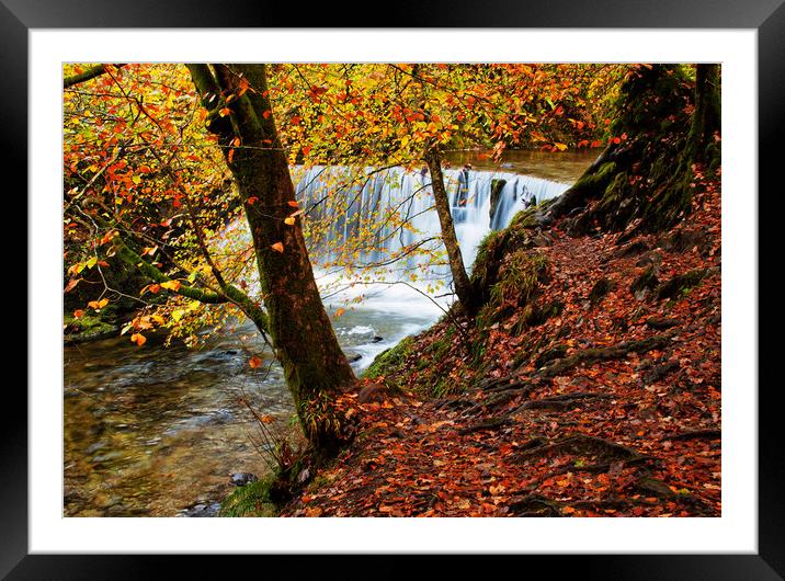 Autumn by the weir Framed Mounted Print by David McCulloch