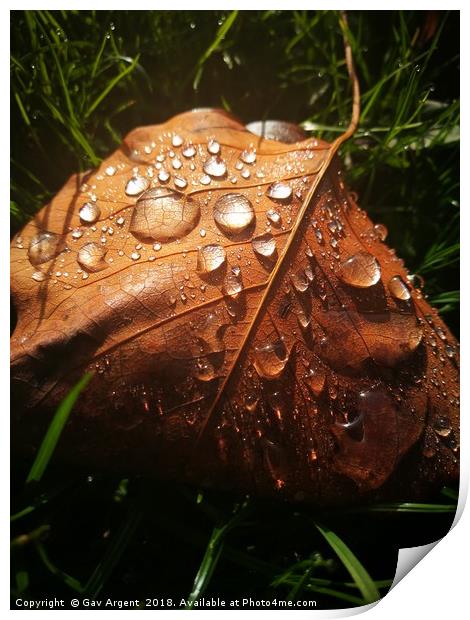 Droplets in the sun Print by Gav Argent