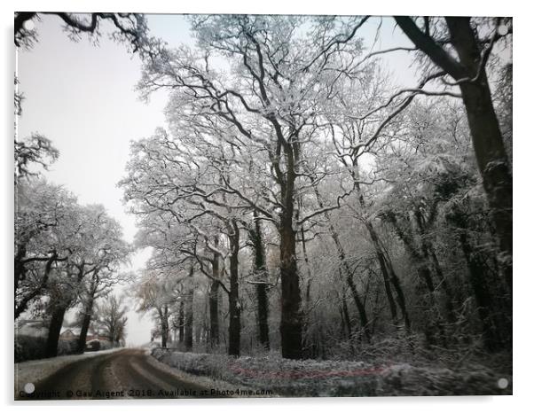 Winter Lane Acrylic by Gav Argent
