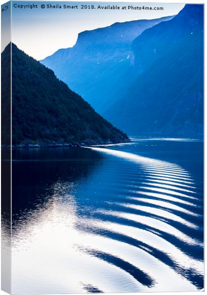 Wake in Norwegian fjords Canvas Print by Sheila Smart