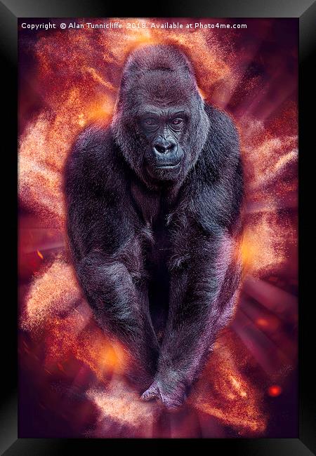 Silverback gorilla Framed Print by Alan Tunnicliffe