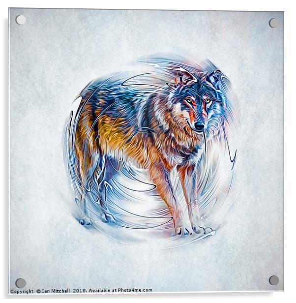 Timber Wolf Acrylic by Ian Mitchell