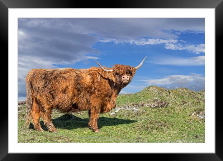 Highlander in Scotland Framed Mounted Print by Arterra 