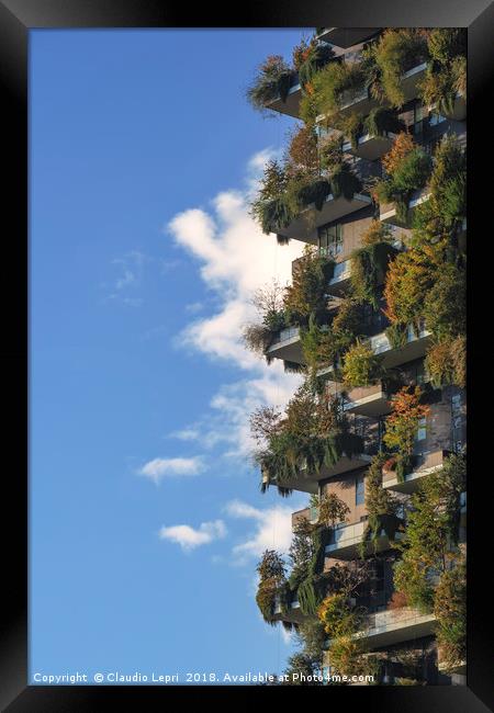 Vertical garden with cloud Framed Print by Claudio Lepri