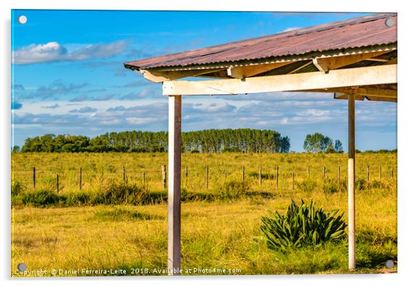 Rural Field Scene, San Jose Department, Uruguay Acrylic by Daniel Ferreira-Leite