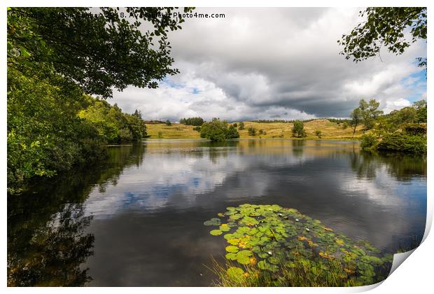 Moss Eccles Tarn Print by John Dunbar