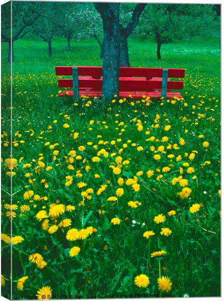The Red Bench Canvas Print by Paul F Prestidge