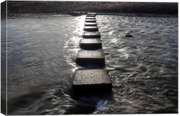 Stepping stones at Three Cliffs Bay, Gower Canvas Print by Leighton Collins