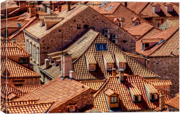 Rooftops  Canvas Print by Danny Cannon