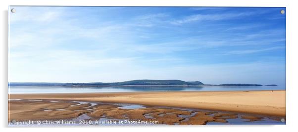 Gower Peninsula Acrylic by Chris Williams