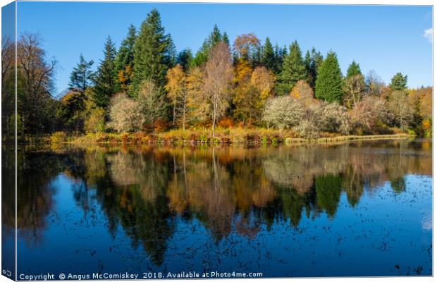 Autumn colours on Penicuik High Pond Canvas Print by Angus McComiskey