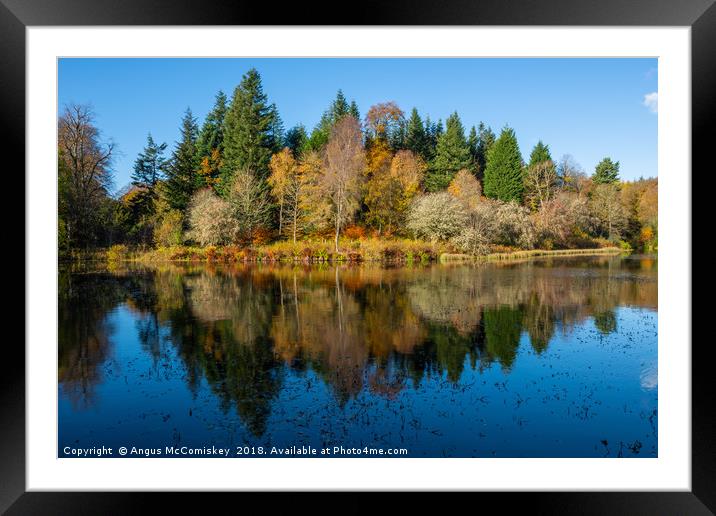 Autumn colours on Penicuik High Pond Framed Mounted Print by Angus McComiskey