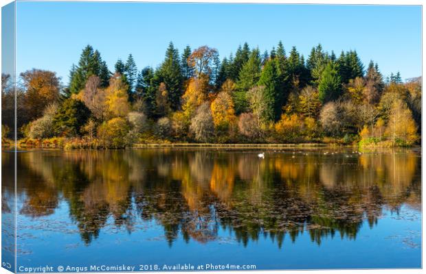 Autumn reflections on Penicuik High Pond Canvas Print by Angus McComiskey