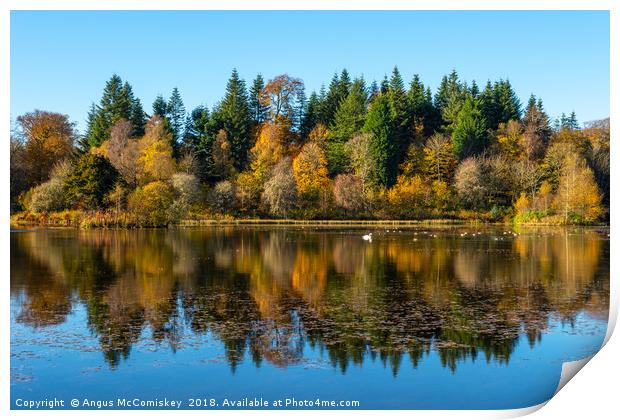 Autumn reflections on Penicuik High Pond Print by Angus McComiskey