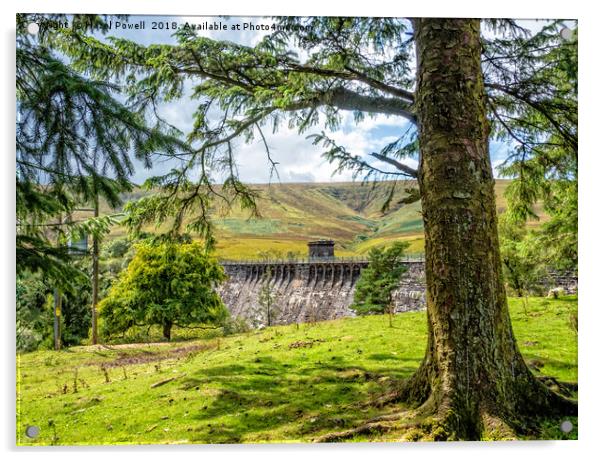 Grwyne Fawr Reservoir Acrylic by Hazel Powell