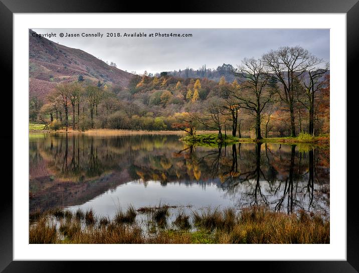 Rydalwater, Cumbria. Framed Mounted Print by Jason Connolly