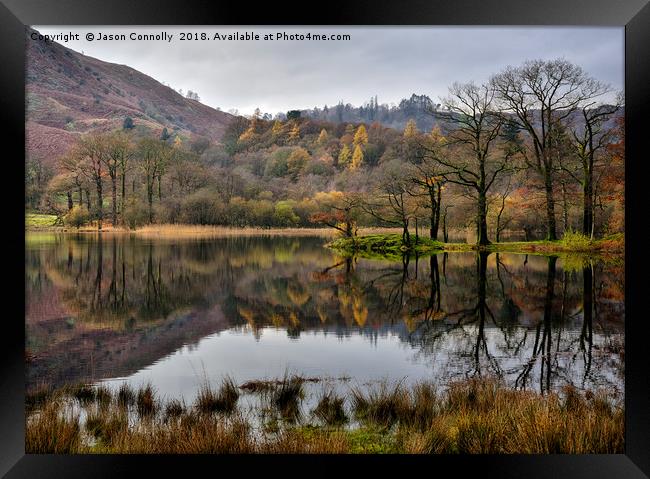 Rydalwater, Cumbria. Framed Print by Jason Connolly