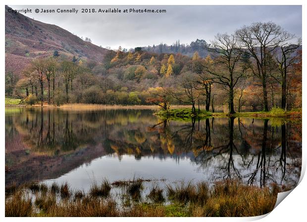 Rydalwater, Cumbria. Print by Jason Connolly