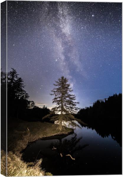 Tarn Hows and the Milky Way Canvas Print by Pete Collins