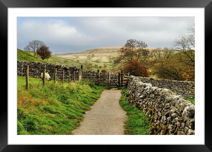  Malham Hills Framed Mounted Print by Diana Mower