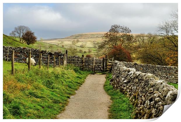  Malham Hills Print by Diana Mower