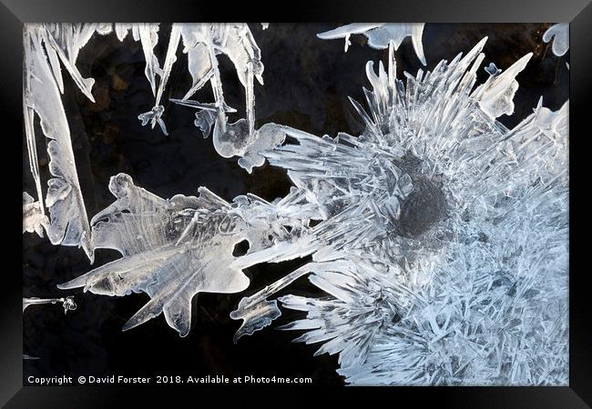 River Ice Crystals  Framed Print by David Forster