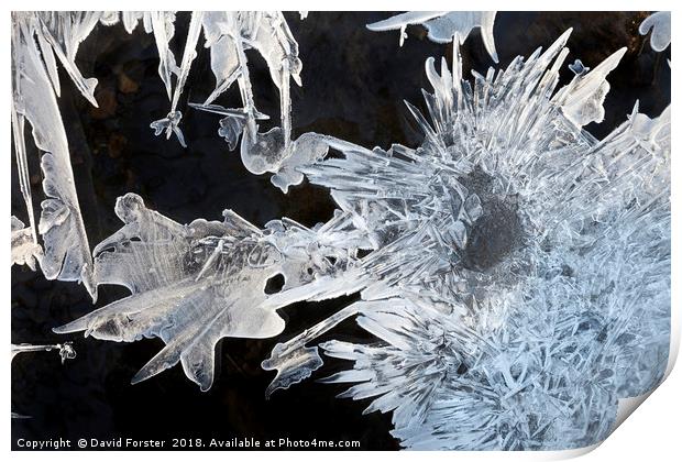 River Ice Crystals  Print by David Forster