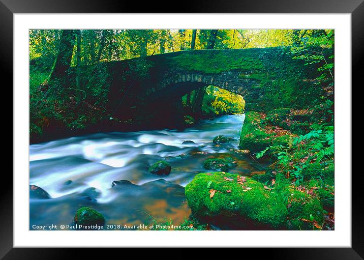 The Bridge at Spitchwick, Dartmoor Framed Mounted Print by Paul F Prestidge
