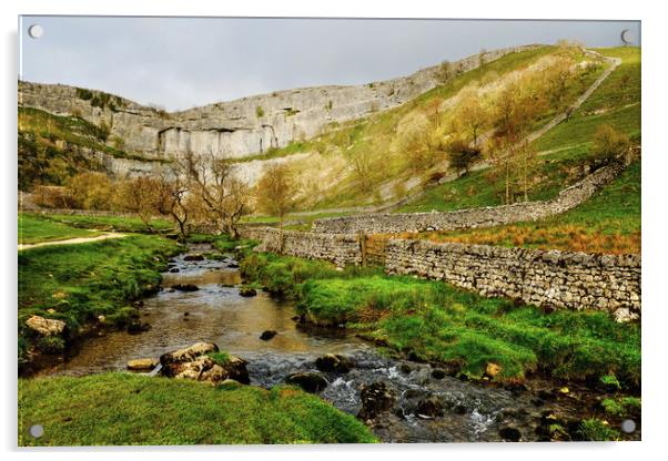  Malham Cove Yorkshire Dales Acrylic by Diana Mower