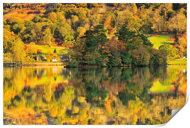 Autumn Gold, Rydalwater Print by Jason Connolly
