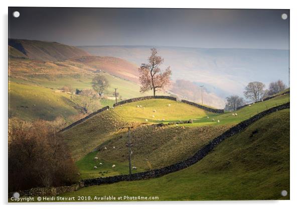 Swaledale, Yorkshire Dales Acrylic by Heidi Stewart
