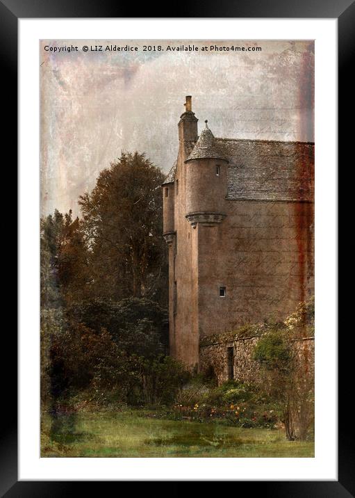 Fairytale Castle Framed Mounted Print by LIZ Alderdice