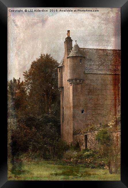 Fairytale Castle Framed Print by LIZ Alderdice