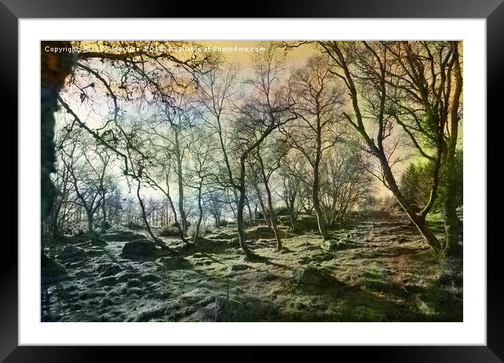 At The Edge of The Wild Wood Framed Mounted Print by LIZ Alderdice