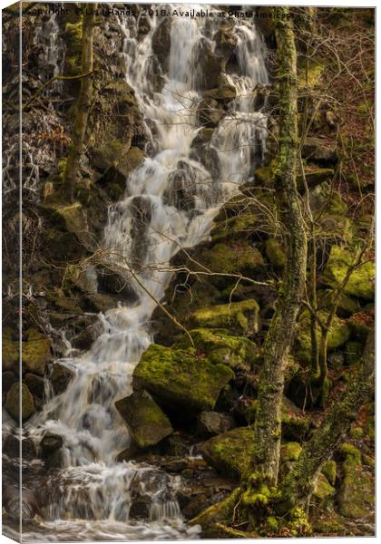 Waterfall, Padley Gorge, Derbyshire Canvas Print by Lisa Hands