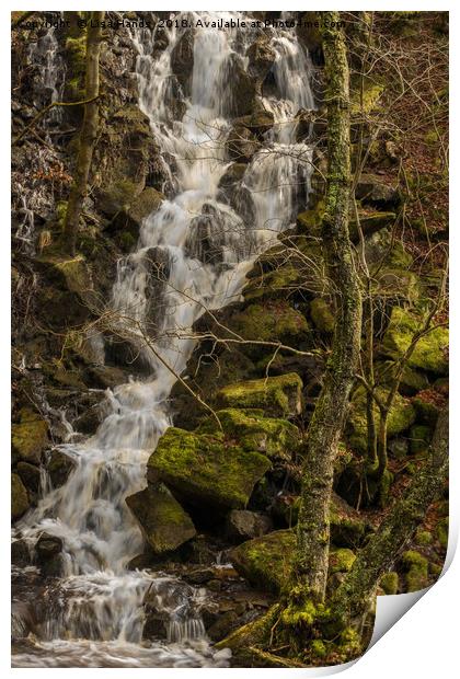 Waterfall, Padley Gorge, Derbyshire Print by Lisa Hands