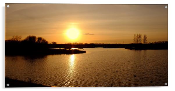 Abberton Reservoir Sunset Acrylic by Diana Mower