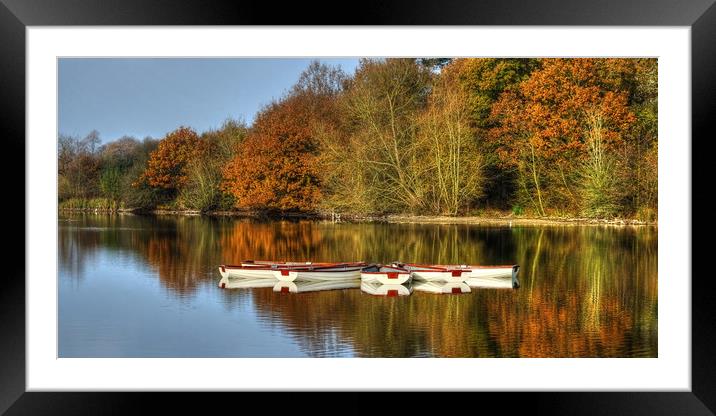 Hatfield Forest Lake Framed Mounted Print by Diana Mower