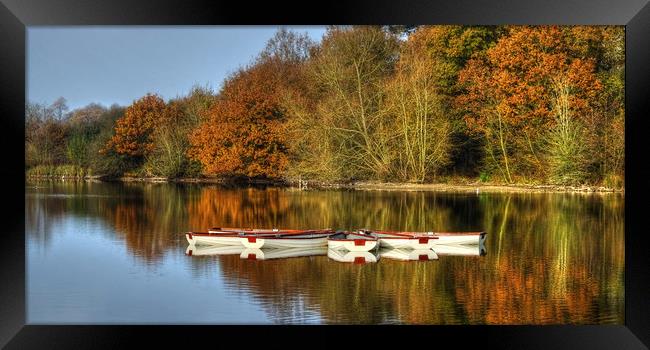 Hatfield Forest Lake Framed Print by Diana Mower