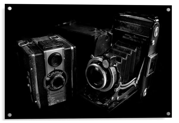 Old Cameras Acrylic by Samantha Higgs