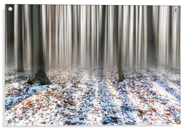 Winter Woods Acrylic by Graham Custance